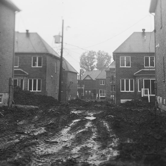 Territories (Web Site)