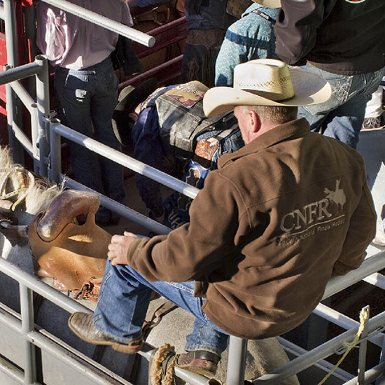 Autour de Saint-Tite (Site Web)