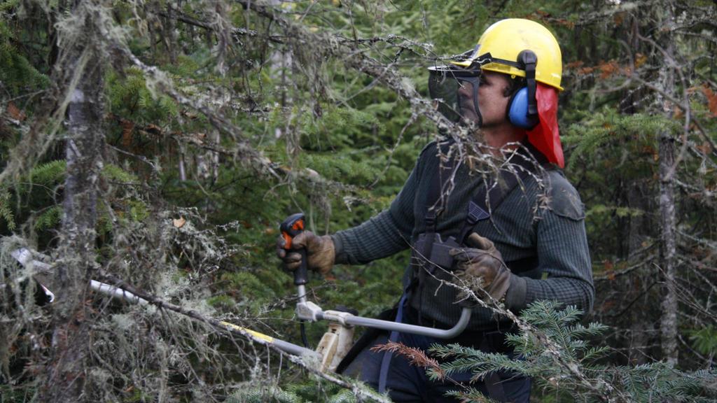 Bûcherons de la Manouane ONF