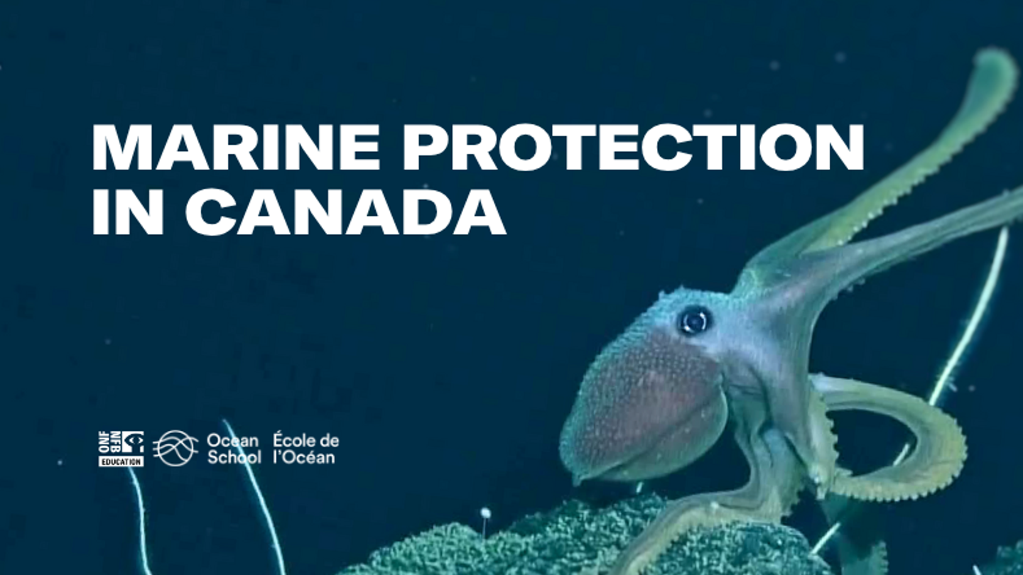 Ocean School - Marine Protection in Canada (ages 10-17)