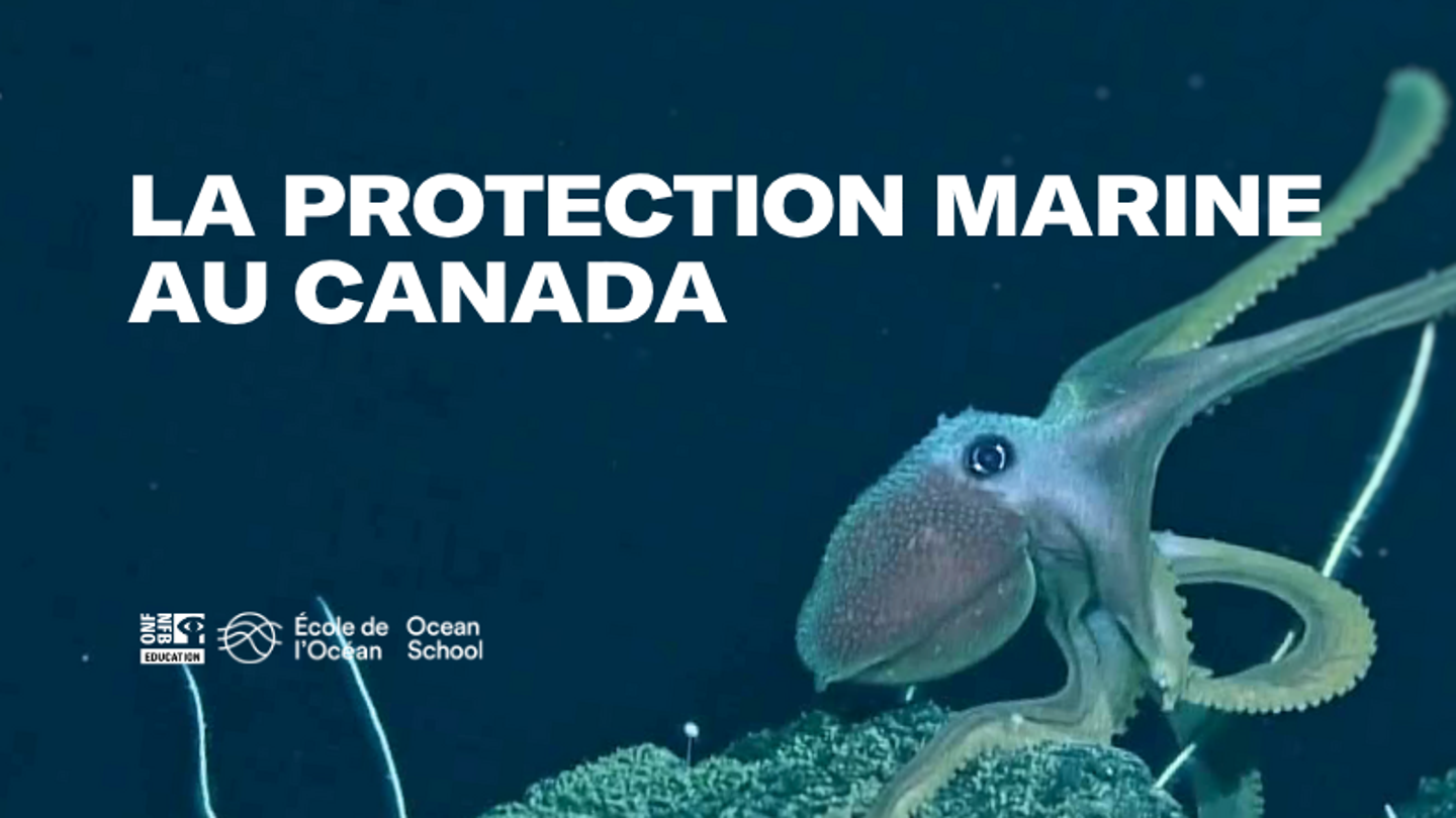 École de l’Océan — La protection marine au Canada (10-17 ans)