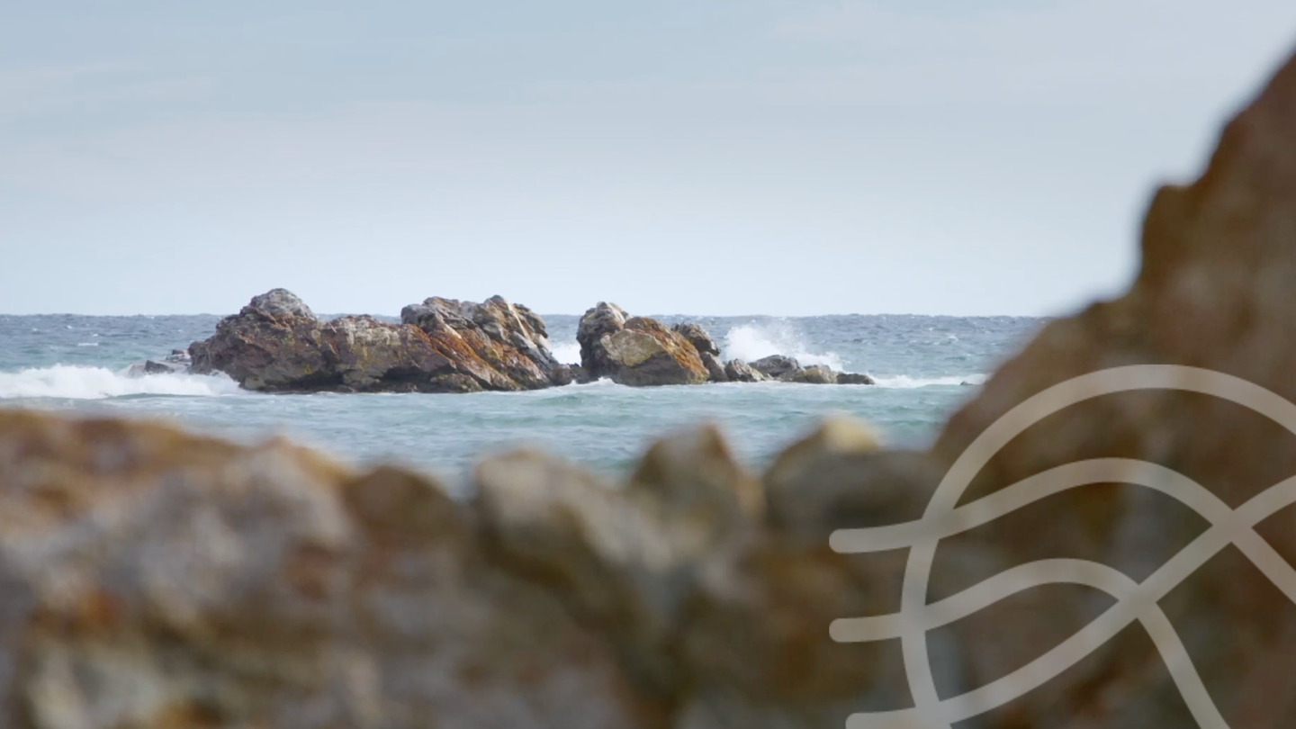 Etuaptmumk (vision à deux yeux) :  Invitez vos élèves à s’ouvrir à différentes façons de savoir.