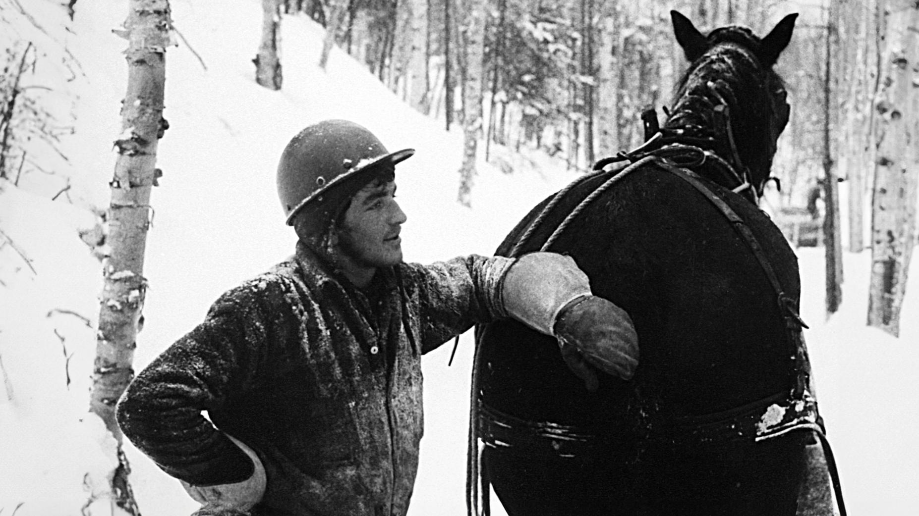 Bûcherons de la Manouane NFB