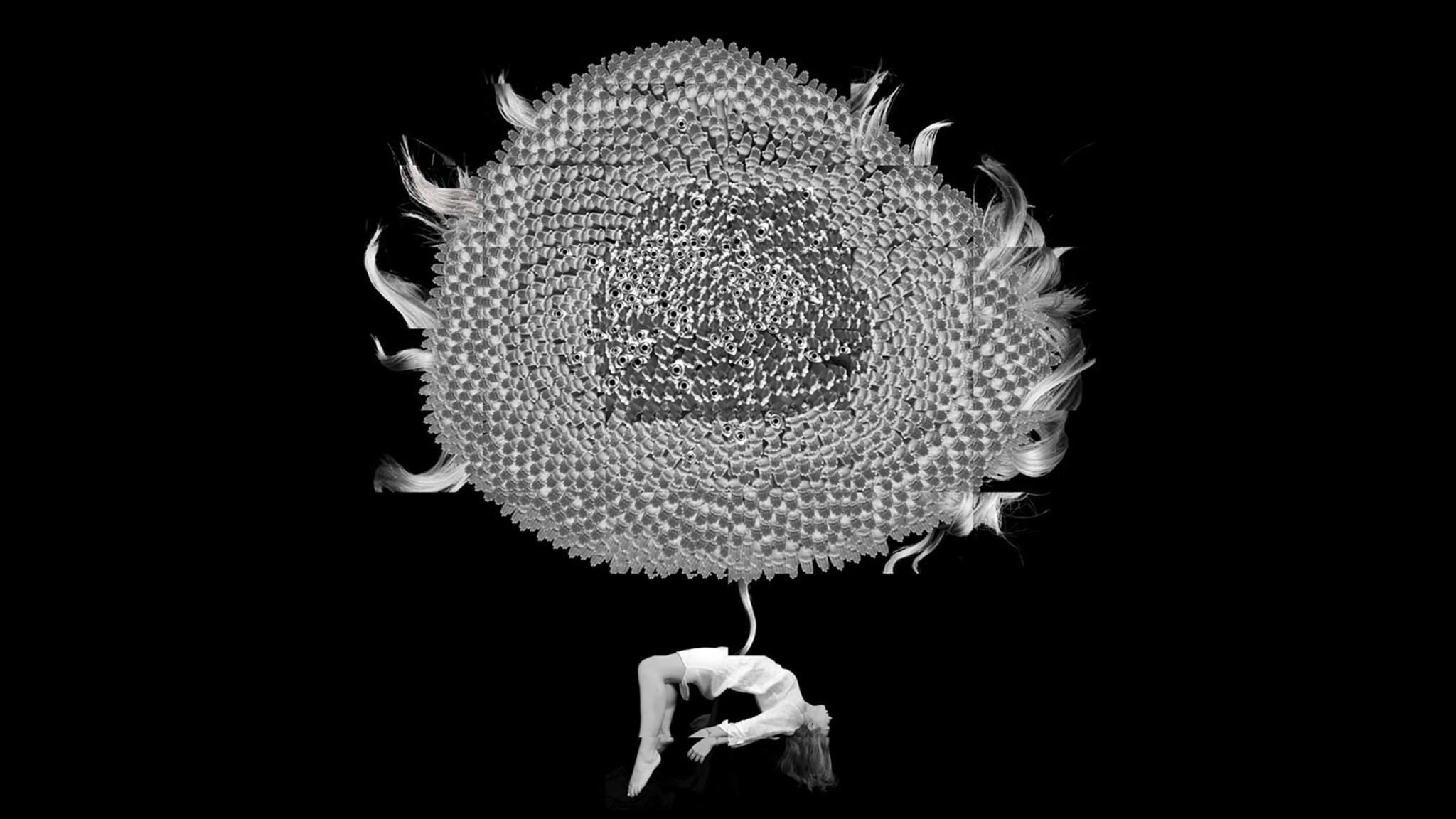Corpus and the Wandering - NFB