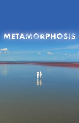 Metamorphosis
