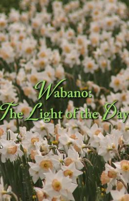 Wabano: The Light of the Day