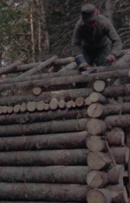 Un camp de bois rond