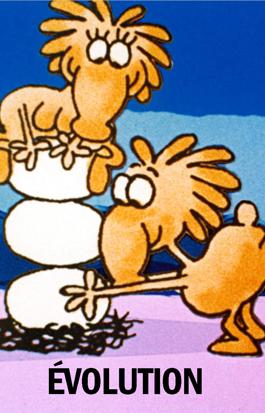 Evolution