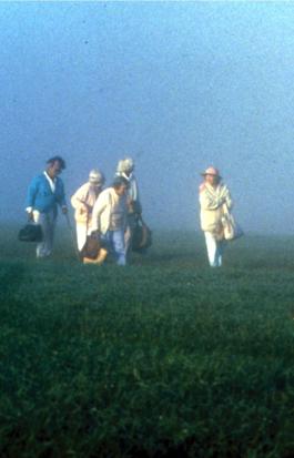 The Company of Strangers
