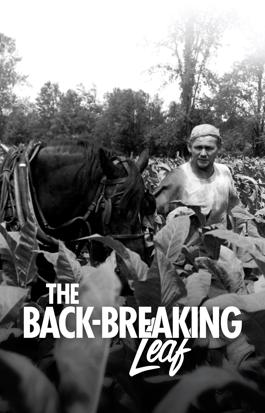 The Back-breaking Leaf