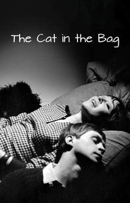 The Cat in the Bag
