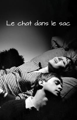 Le chat dans le sac