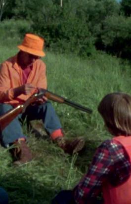 Firearms and Safety