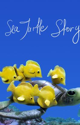 A Sea Turtle Story