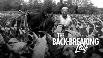 The Back-breaking Leaf
