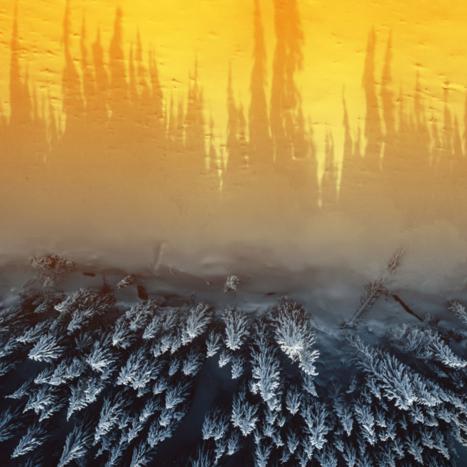 Most-Viewed Films of 2021