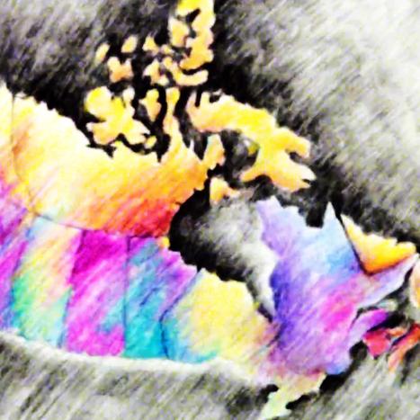 Curator's Perspective