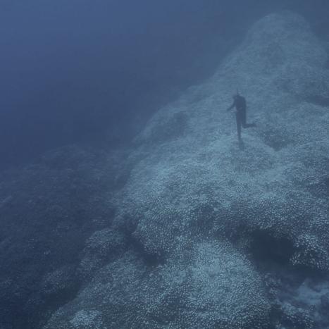 L’ampleur de toutes choses