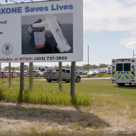 Kímmapiiyipitssini : la voie de l'empathie