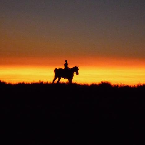 Hollywood et les indiens