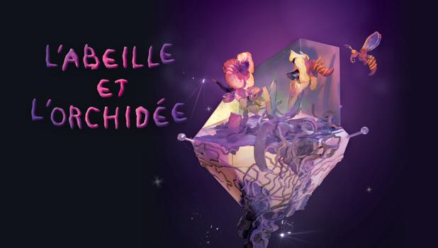 L'abeille et l'orchidée