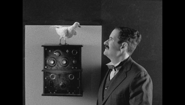 The Tesla World Light