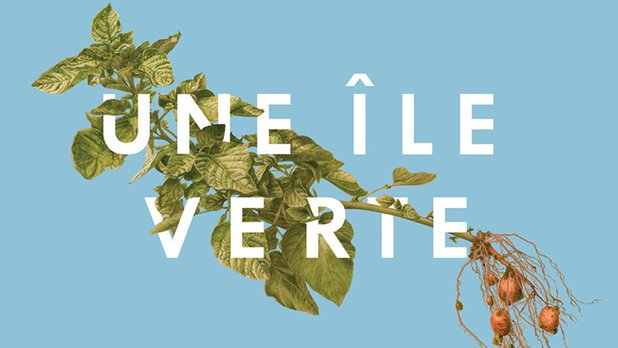 Une île verte
