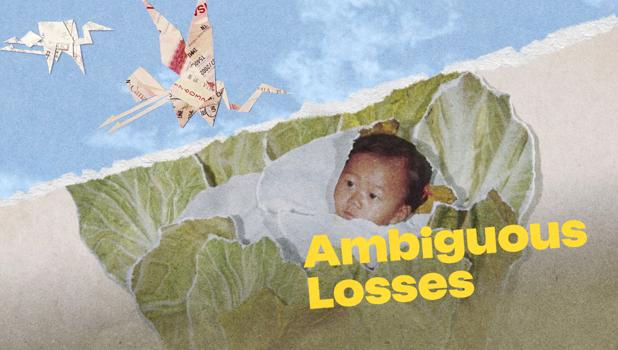 Ambiguous Losses