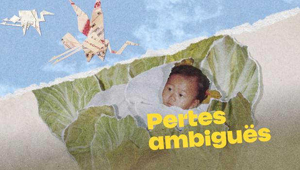 Pertes Ambiguës