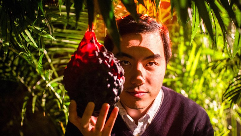 The Fruit Of Evolution Episode 1 The Fruit Hunters - The Evolution of Desire (Episode 1) by Yung Chang - NFB