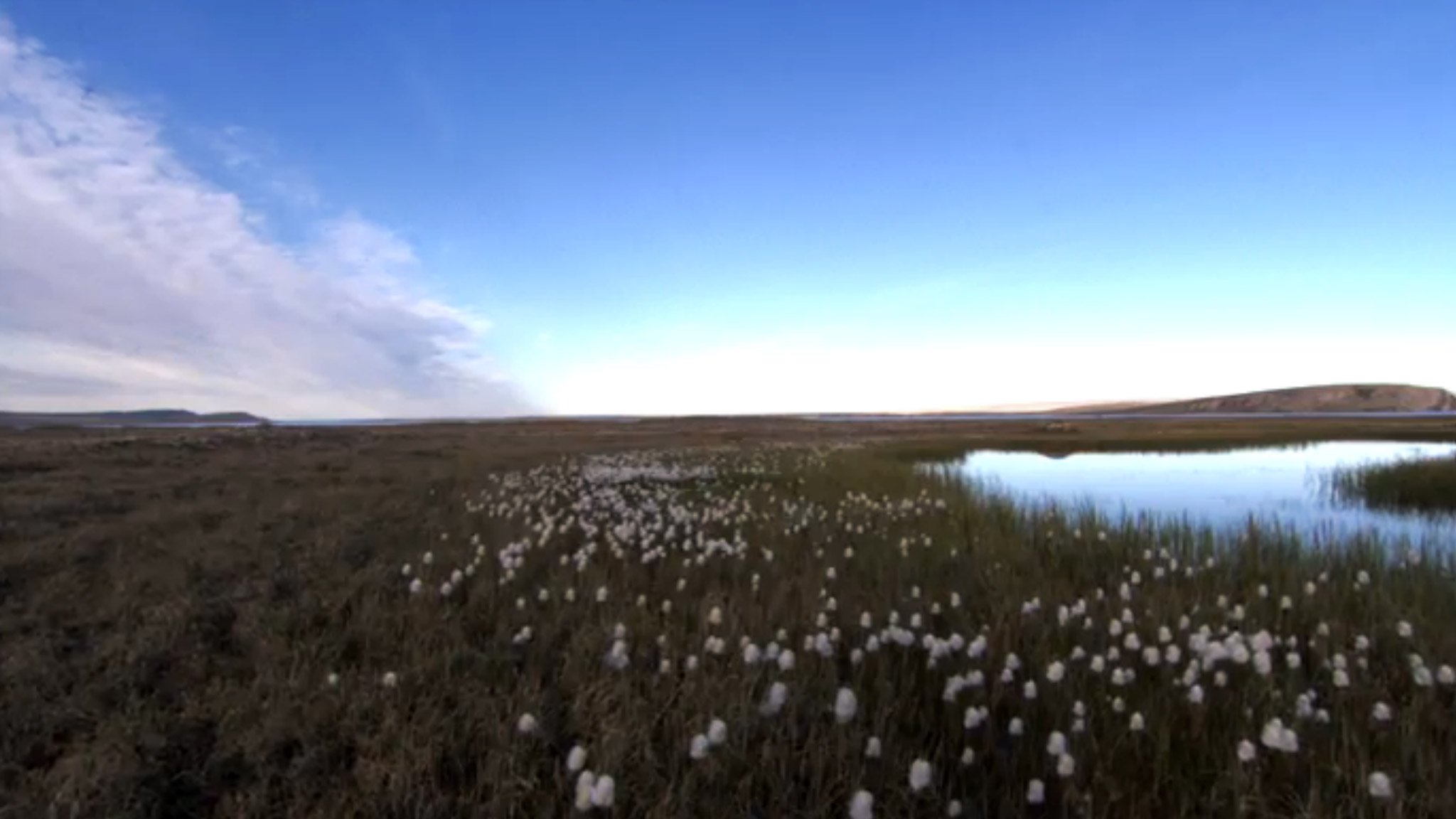 Science at the Top of the World - Discovering the Microscopic World of Quttinirpaaq National Park