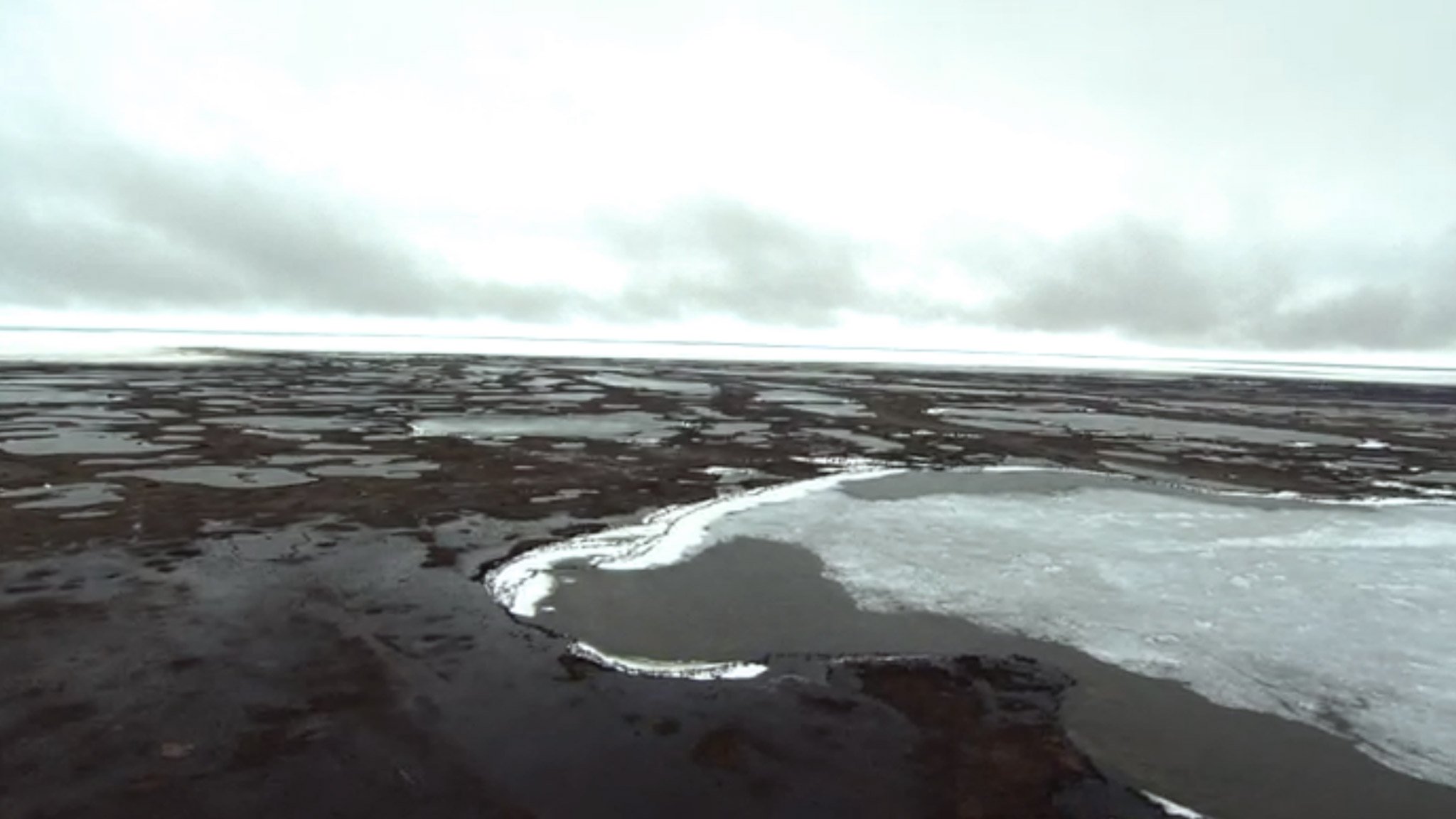 La science au sommet du monde - Travail sur le terrain : le relèvement isostatique au Parc National Wapusk