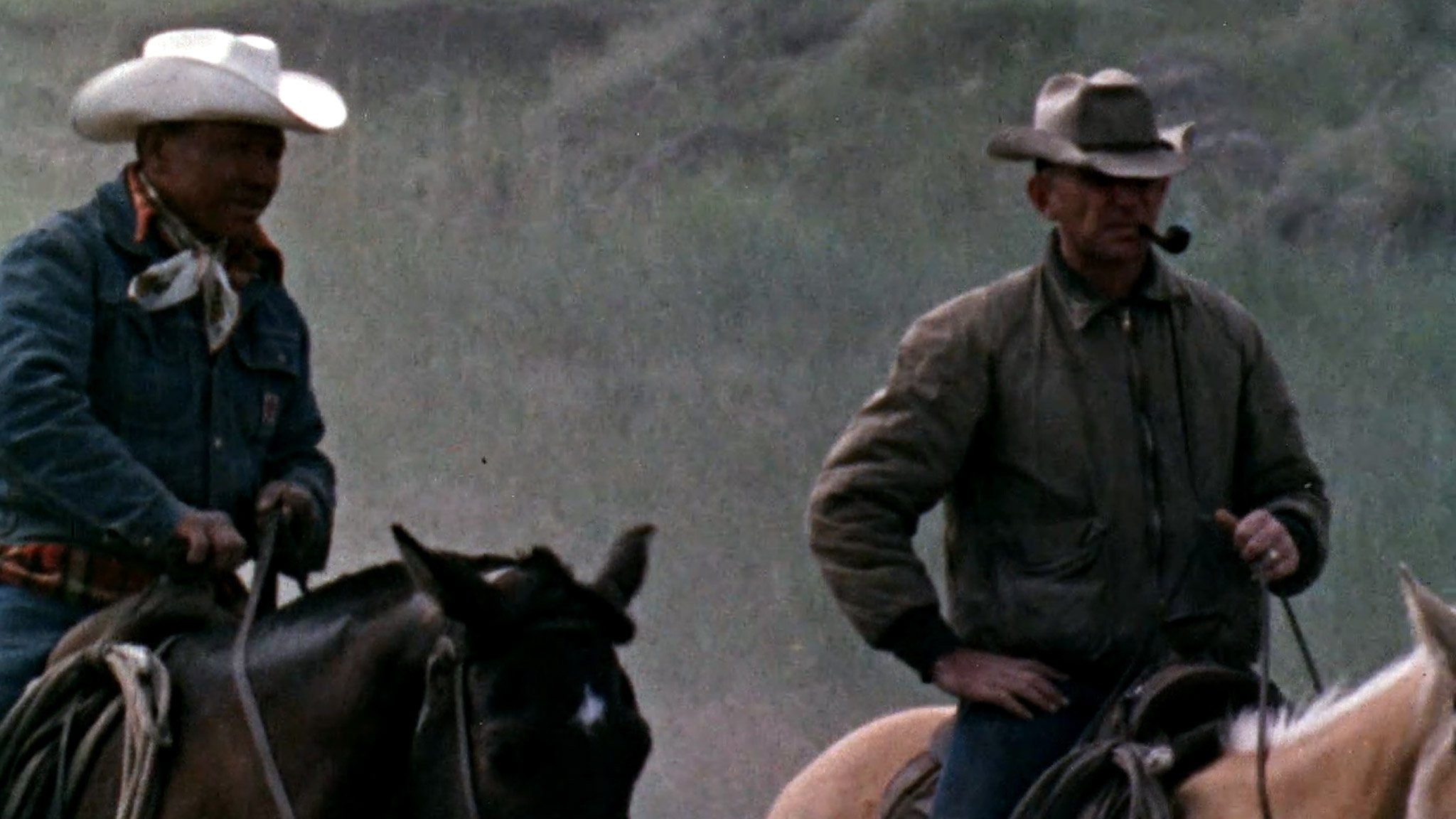 Cattle Ranch