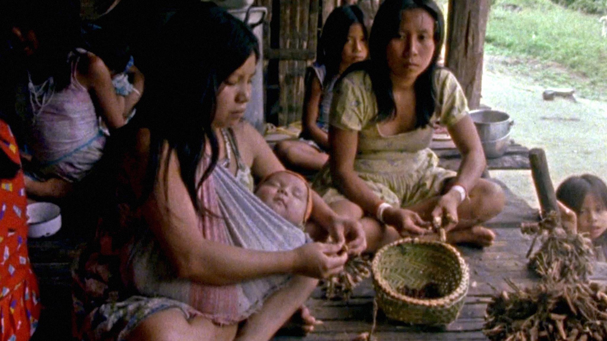 Vivre en Amazonie