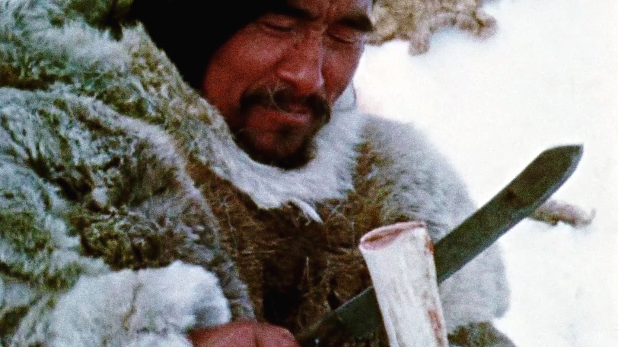 Tuktu et la chasse au caribou