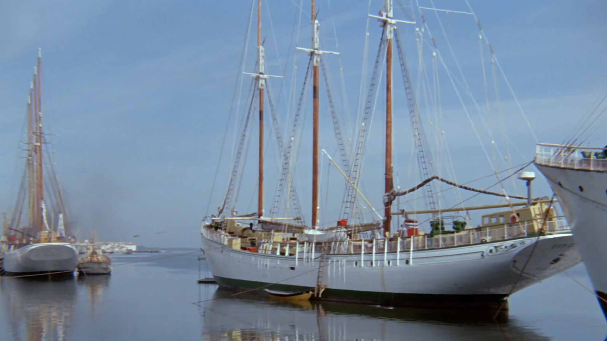 The White Ship