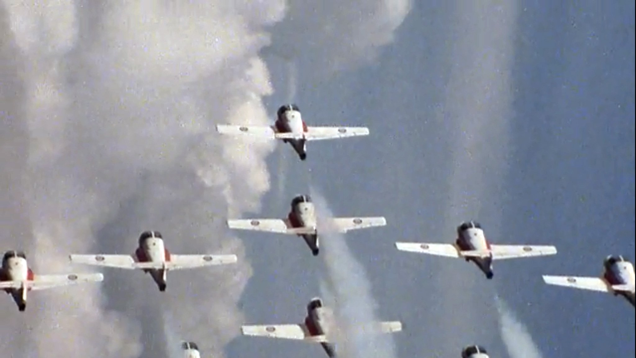 Snowbirds