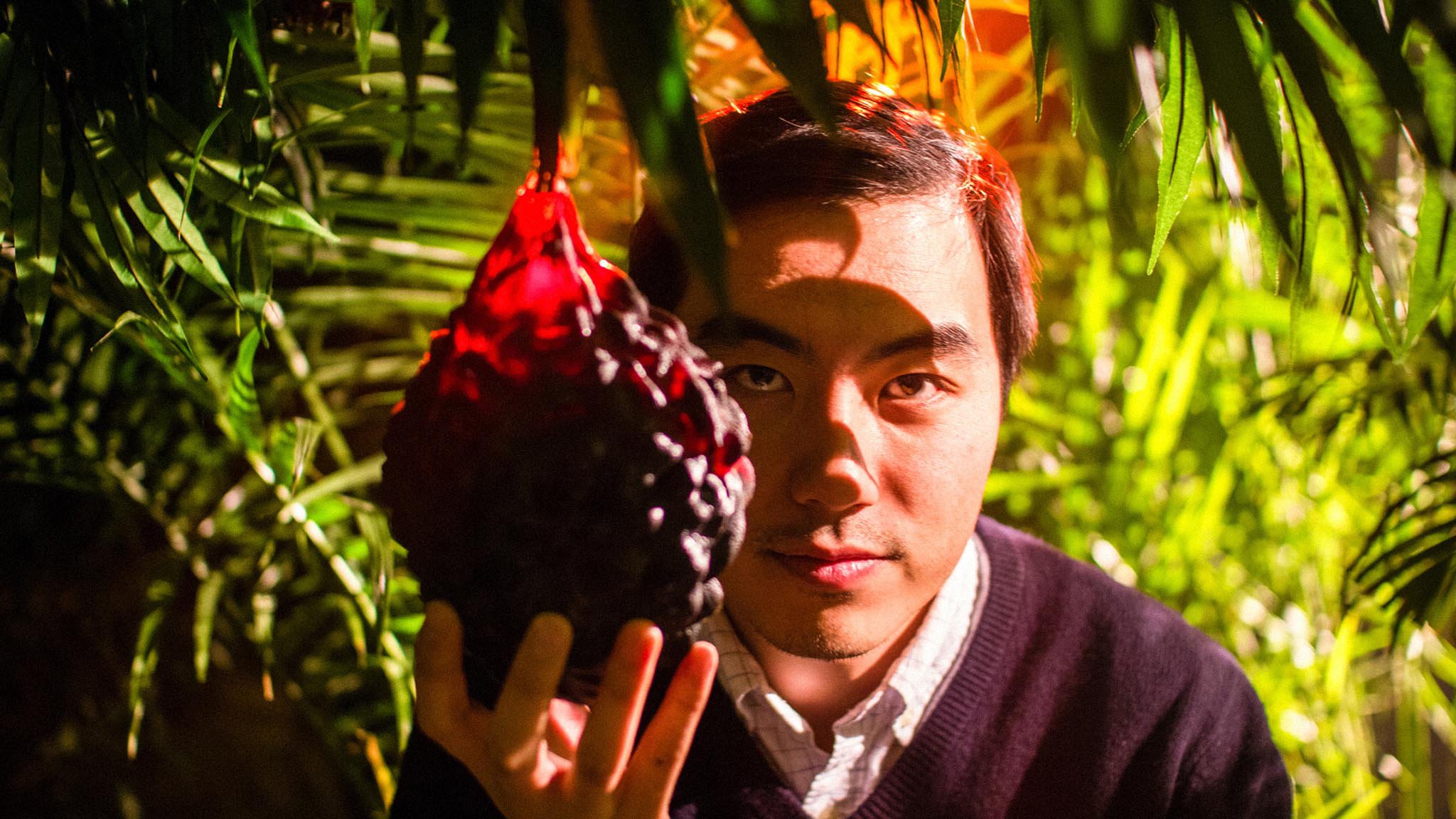 Chasseurs de fruits