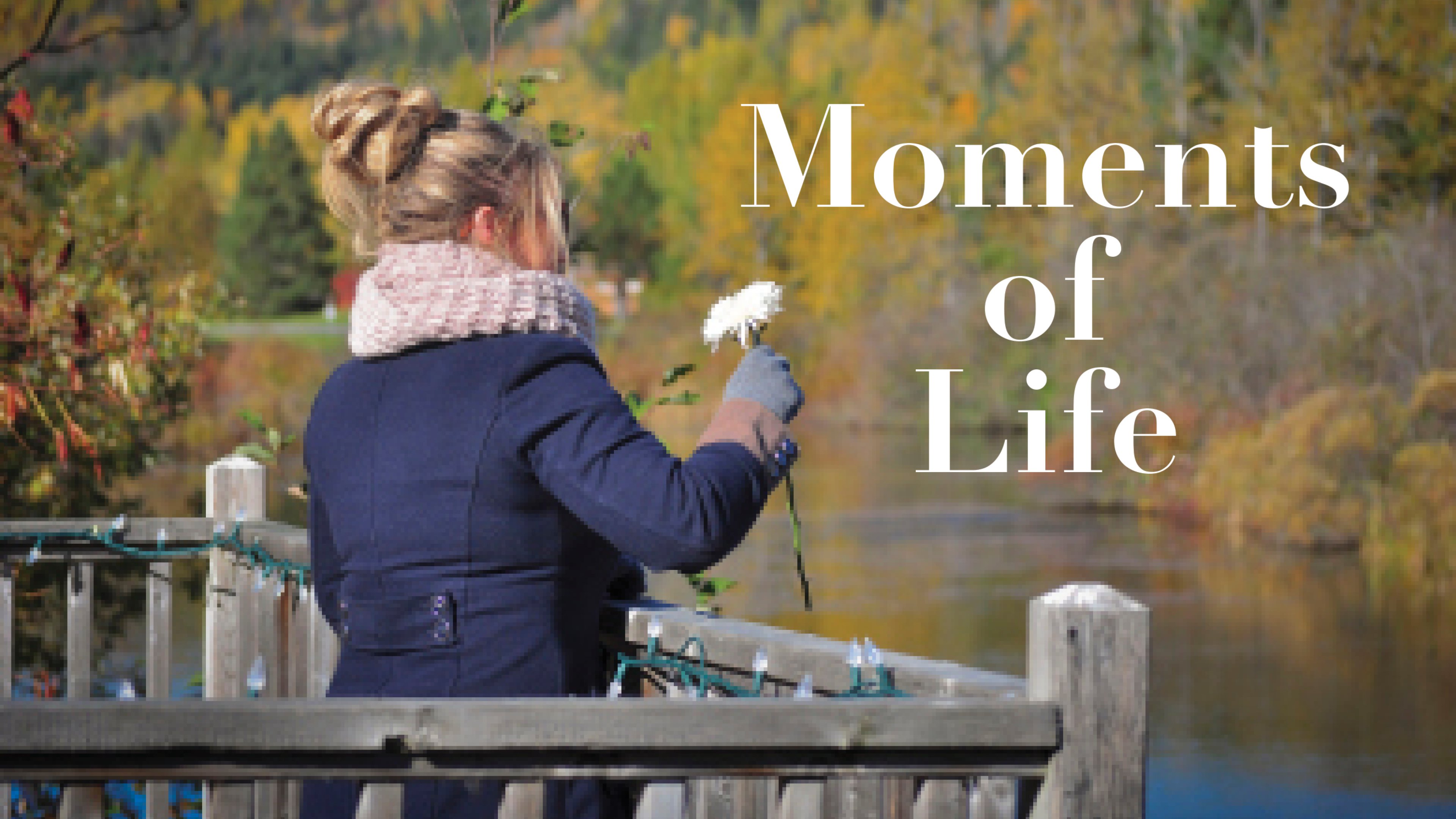 Moments of Life