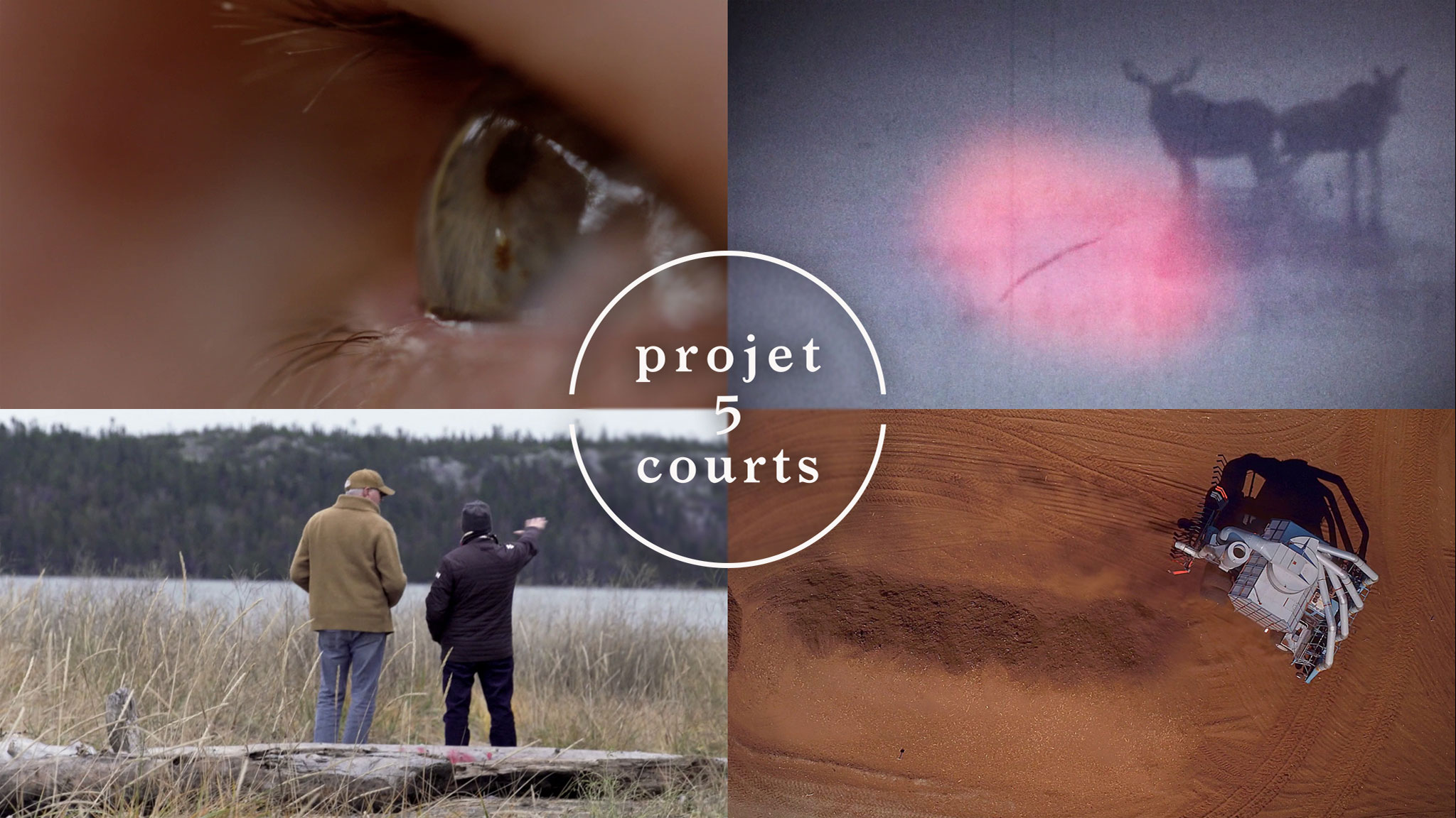 Projet 5 courts BasSaintLaurent ONF