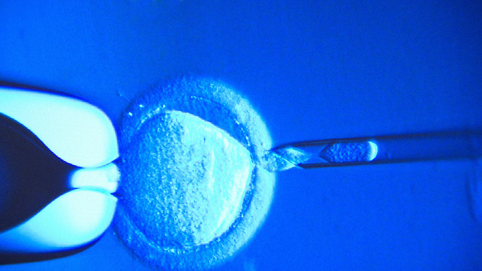 The Man with the Golden Cells