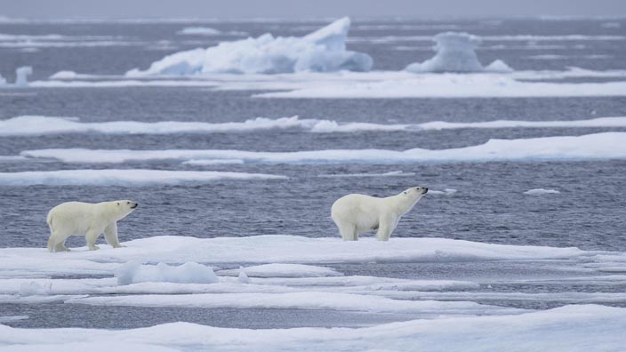 Menaces sur le toit du monde