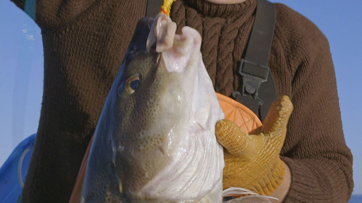 Hand.Line.Cod