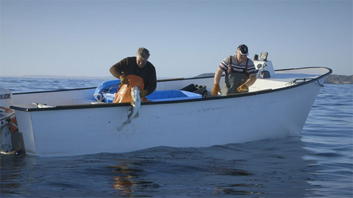 Une main. Une ligne. Un poisson.