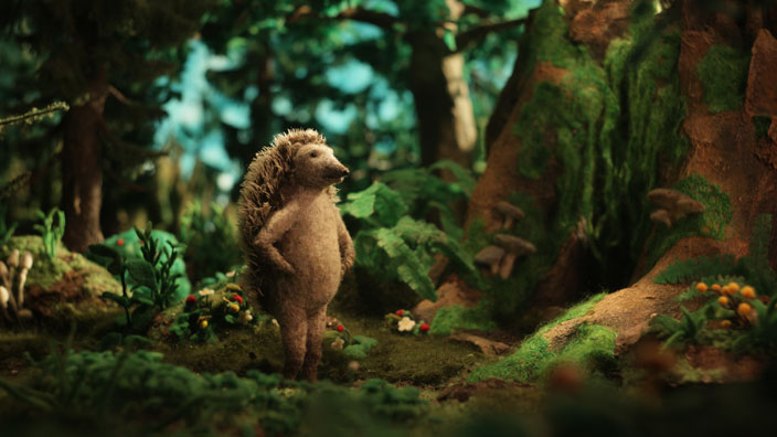 Hedgehog's Home