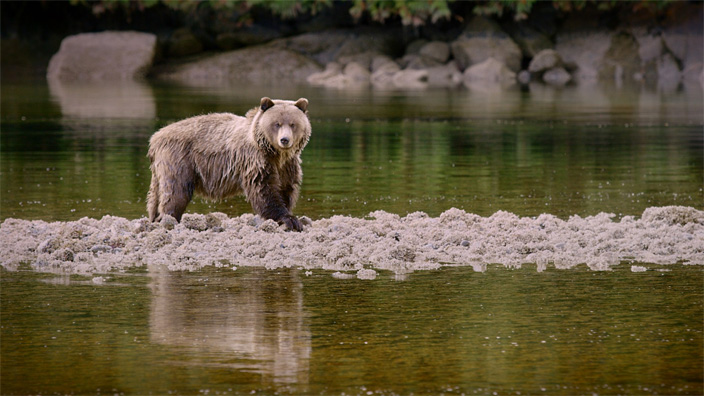 Way of the Hunter