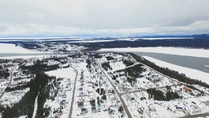 Au rythme du Labrador