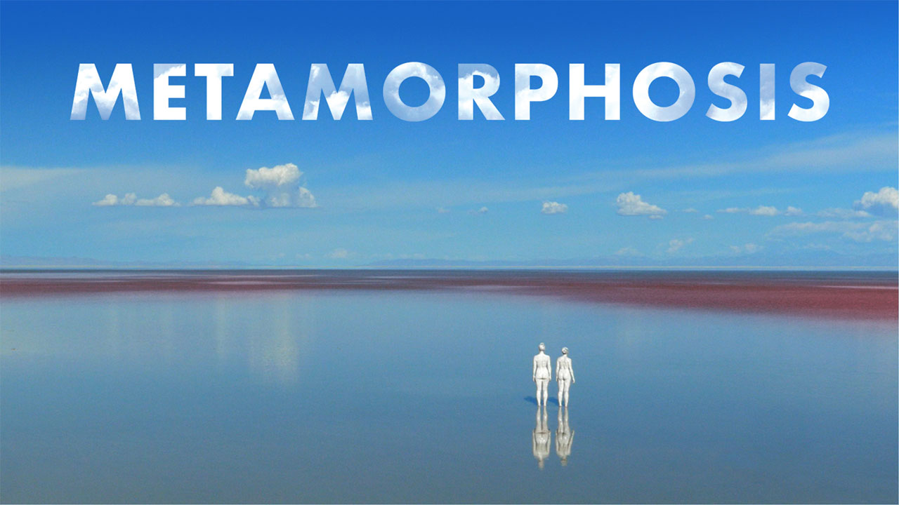 Metamorphosis