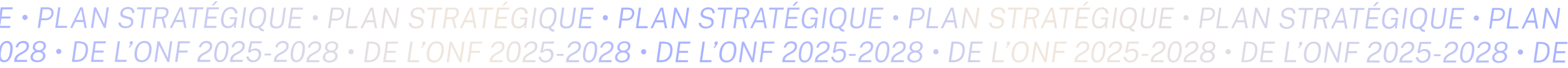 Plan stratégique 2025-2028 de l’ONF